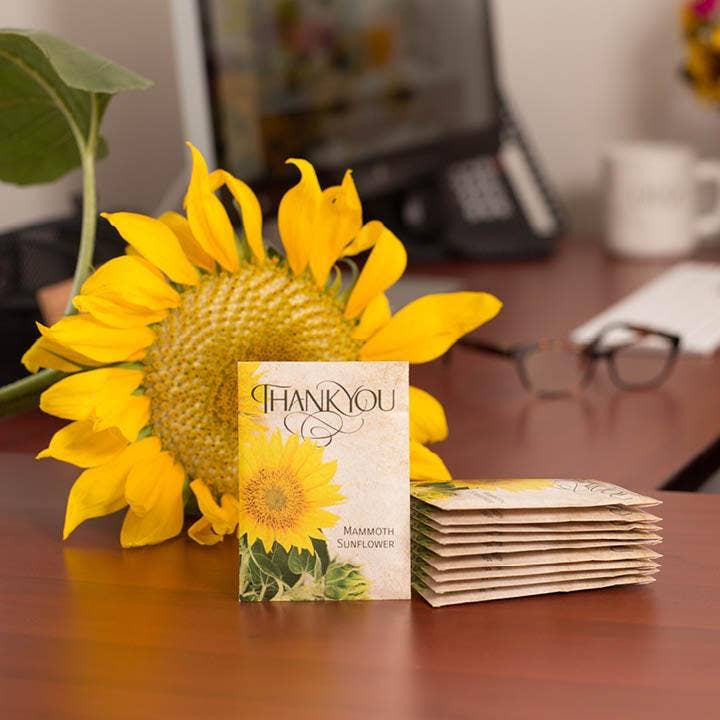 Thank You - Mammoth Sunflower