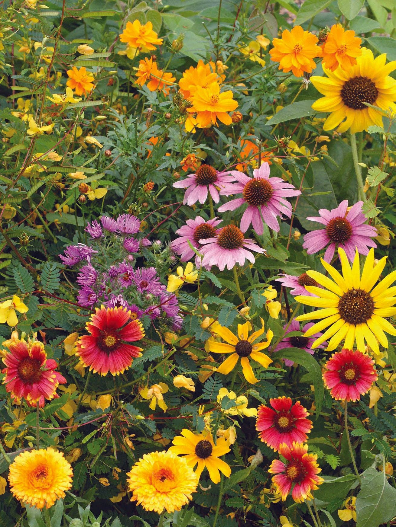 Merry Christmas Wreath of Birds Gift Tag - Bird & Butterfly Wildflower