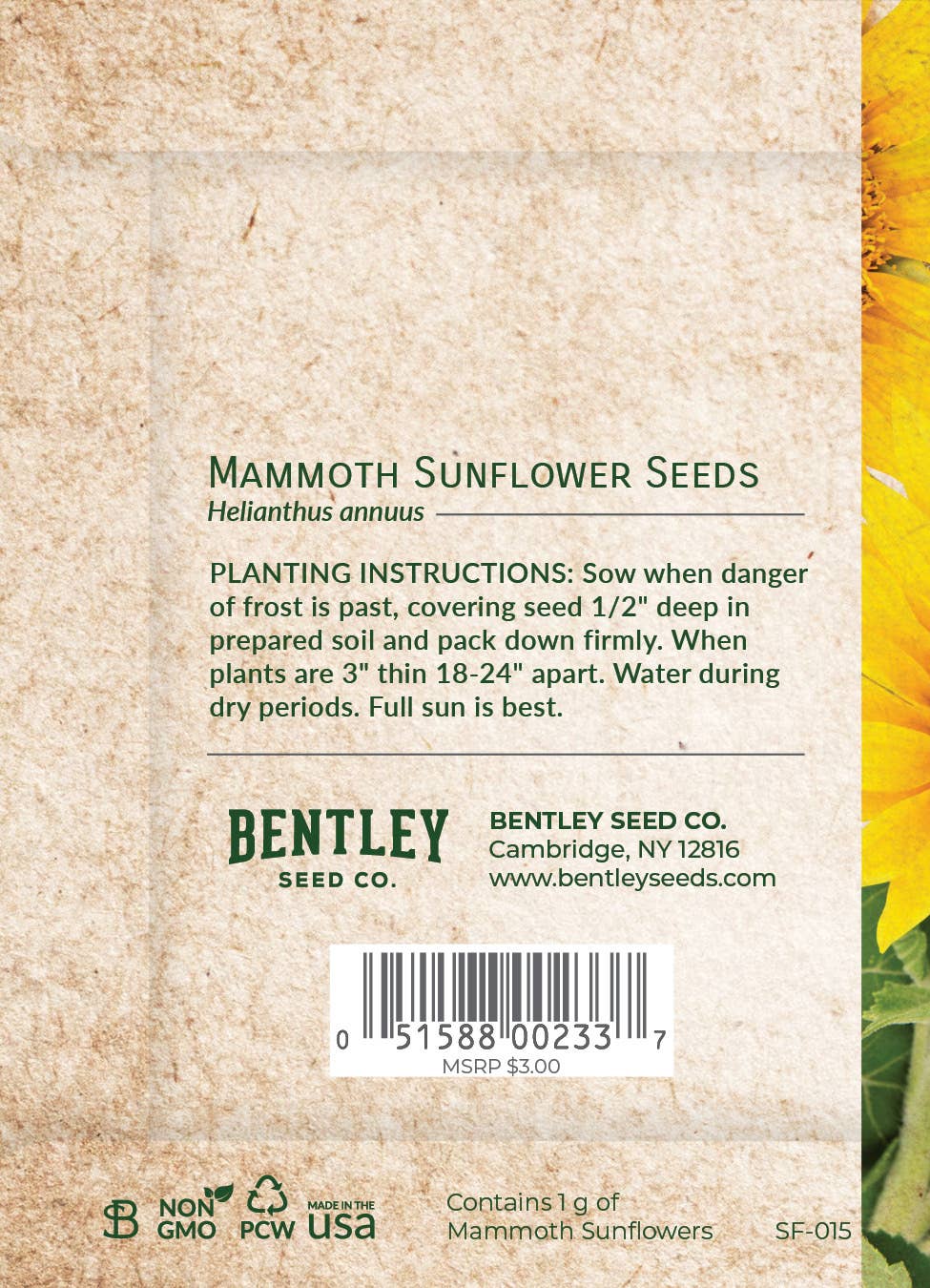 Thank You - Mammoth Sunflower
