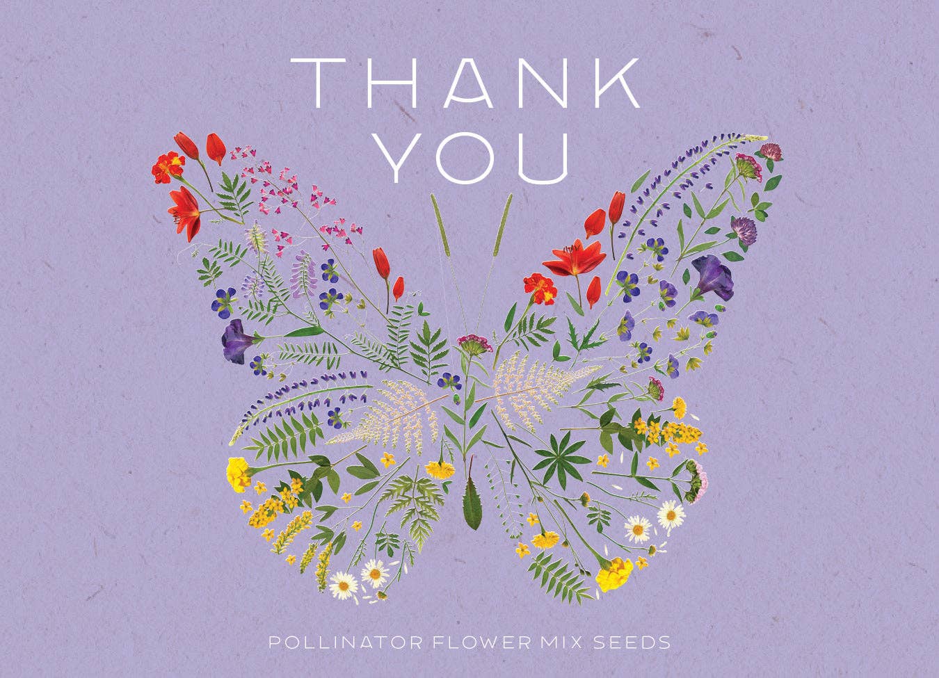 Thank You Butterfly Pollinator - Pollinator Flower Mix Seed Packet