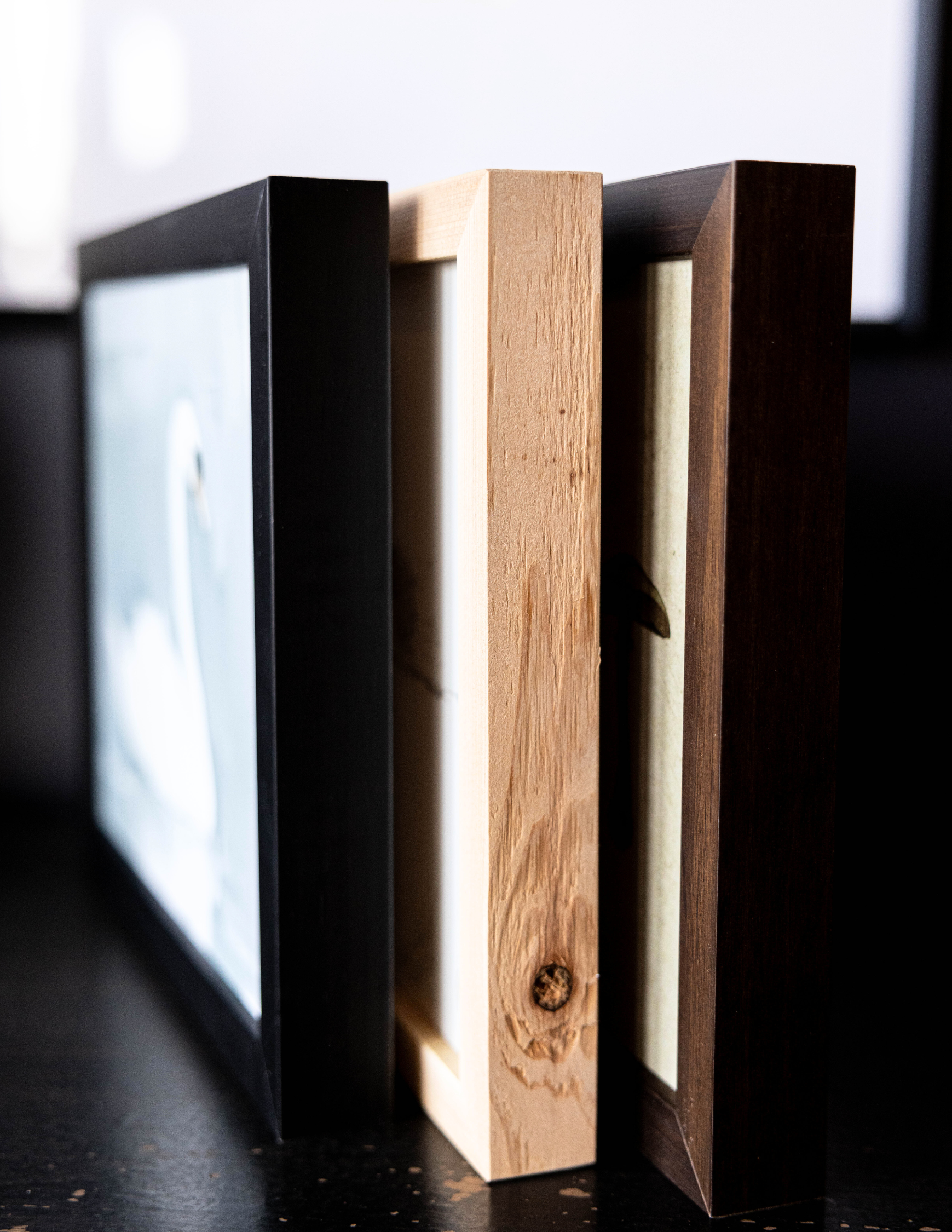 Vintage Anemone Framed Art | 028