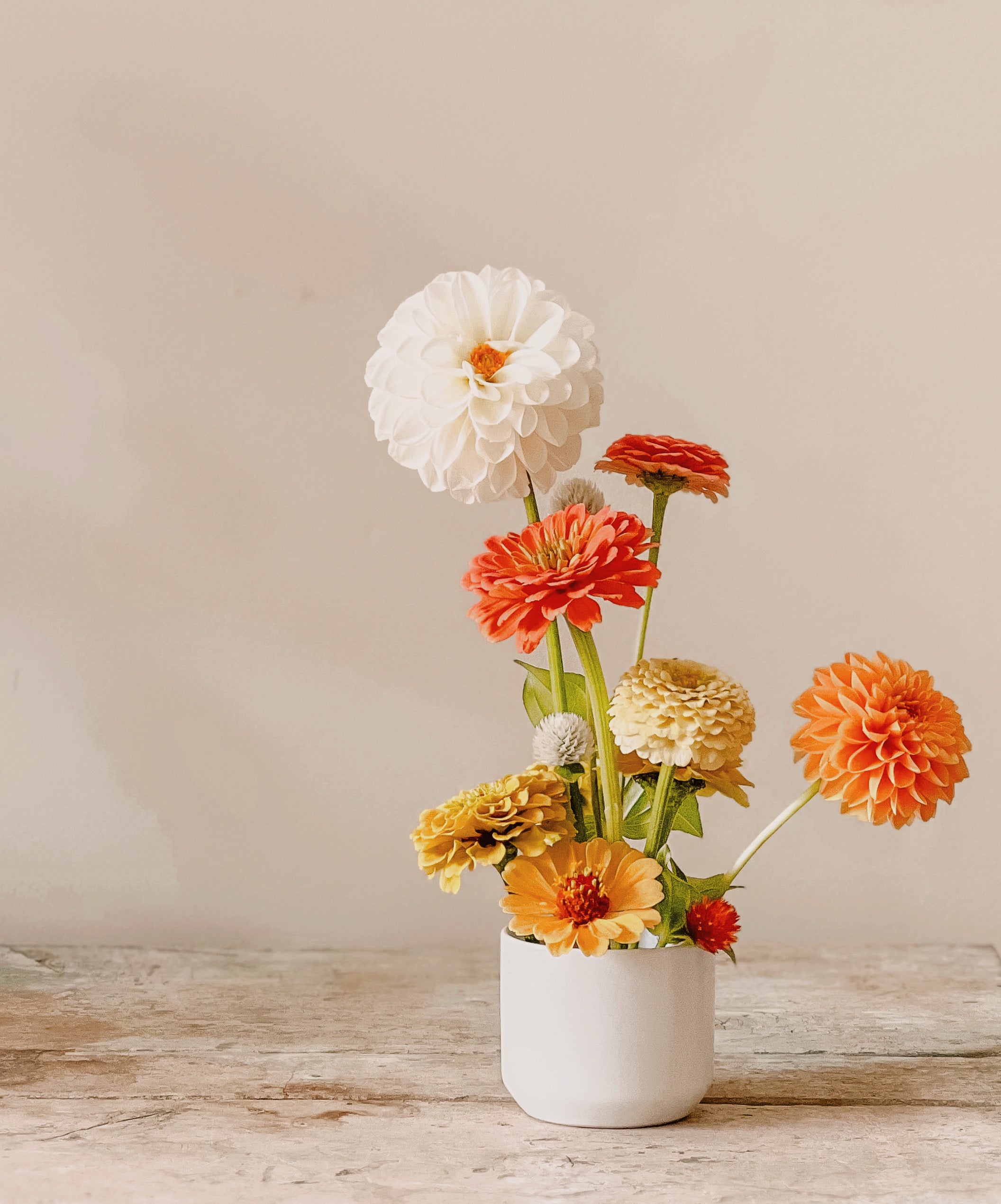 The Petite Arrangement