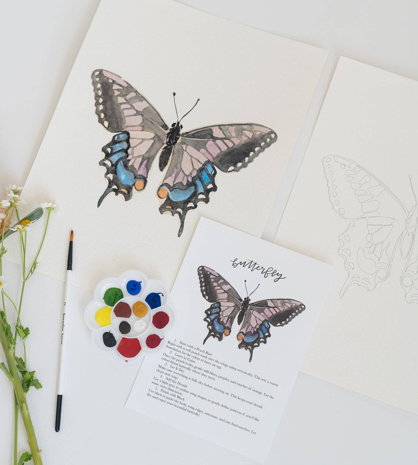 Butterfly - watercolor kit