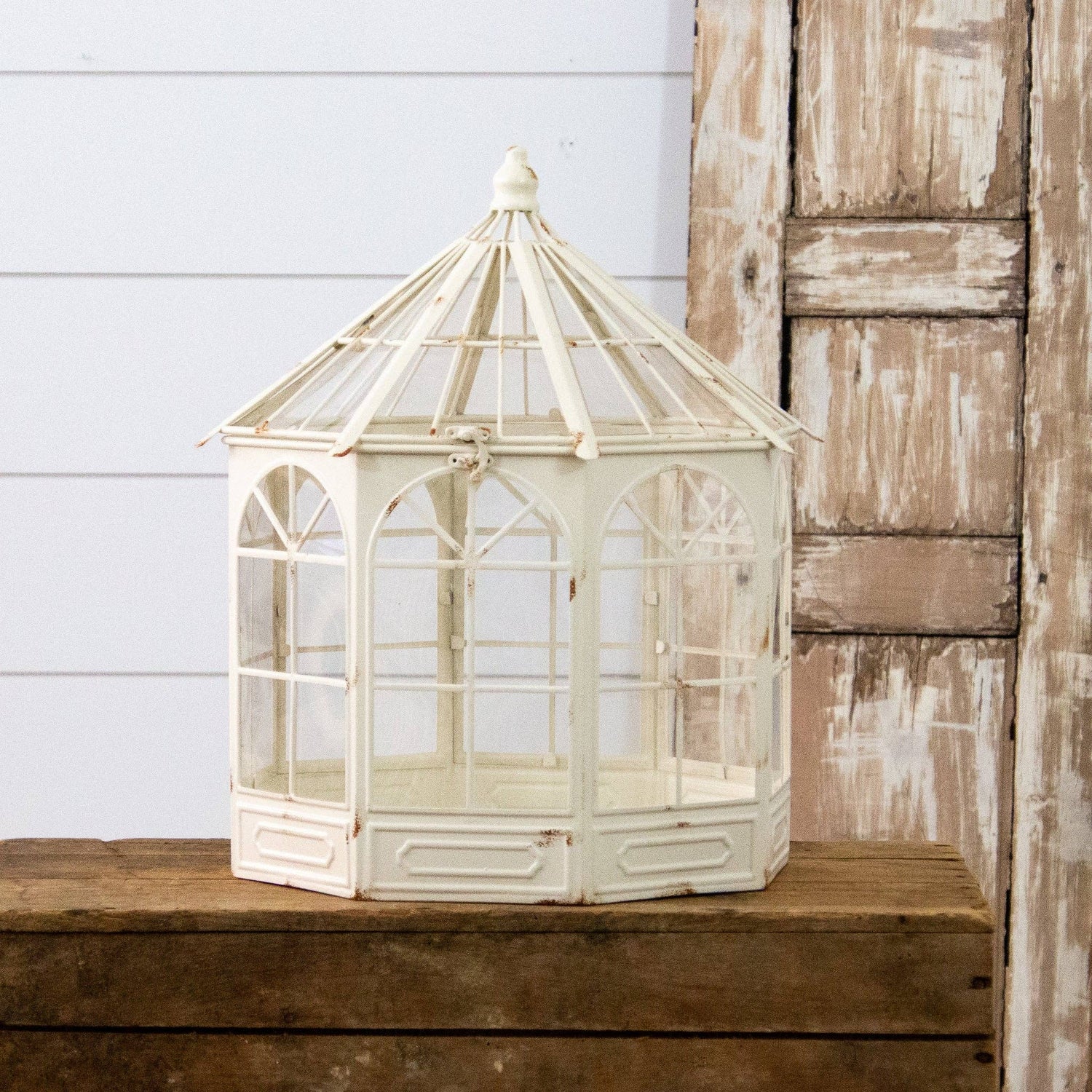 Metal Conservatory Terrarium with succulent