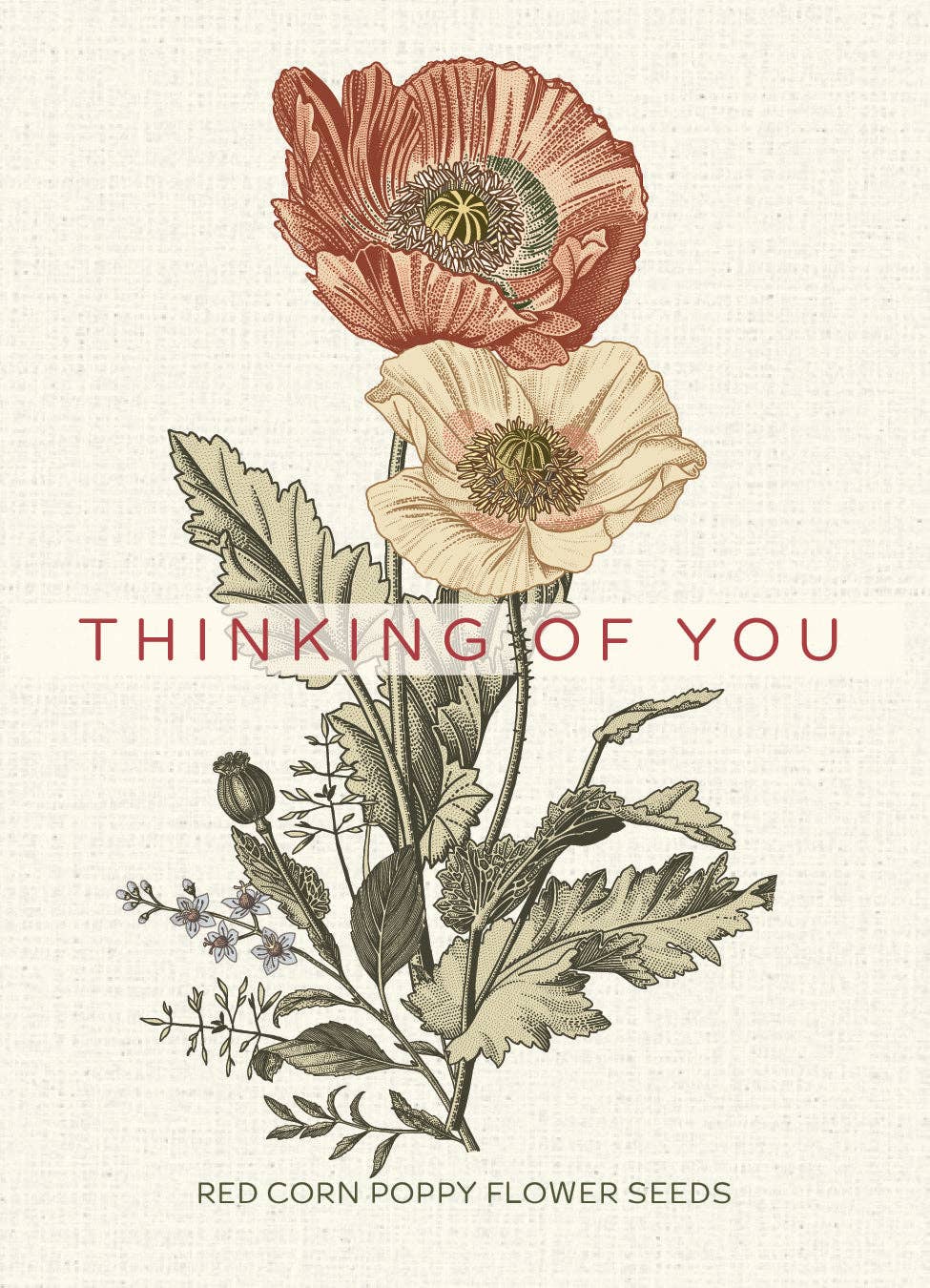 Thinking of You Classic Vintage Art - Corn Poppy Seed Packets