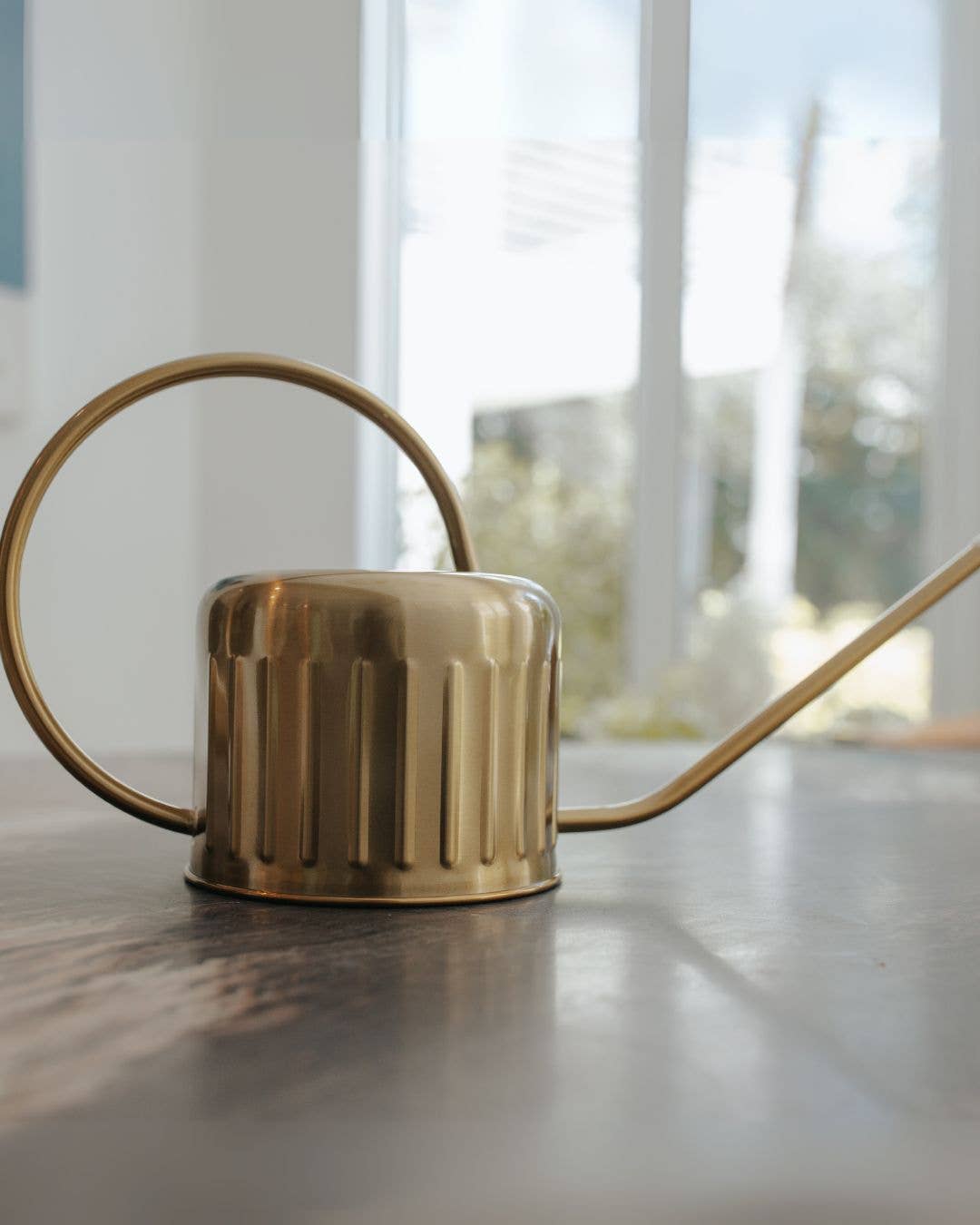 1L Gold Stainless Steel Watering Can – Long Spout Design