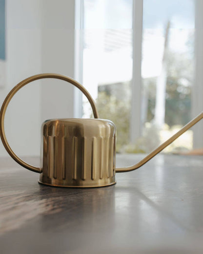 1L Gold Stainless Steel Watering Can – Long Spout Design