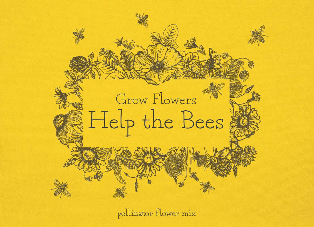 Grow Flowers Help the Bees - Pollinator Wildflower Seed Packets