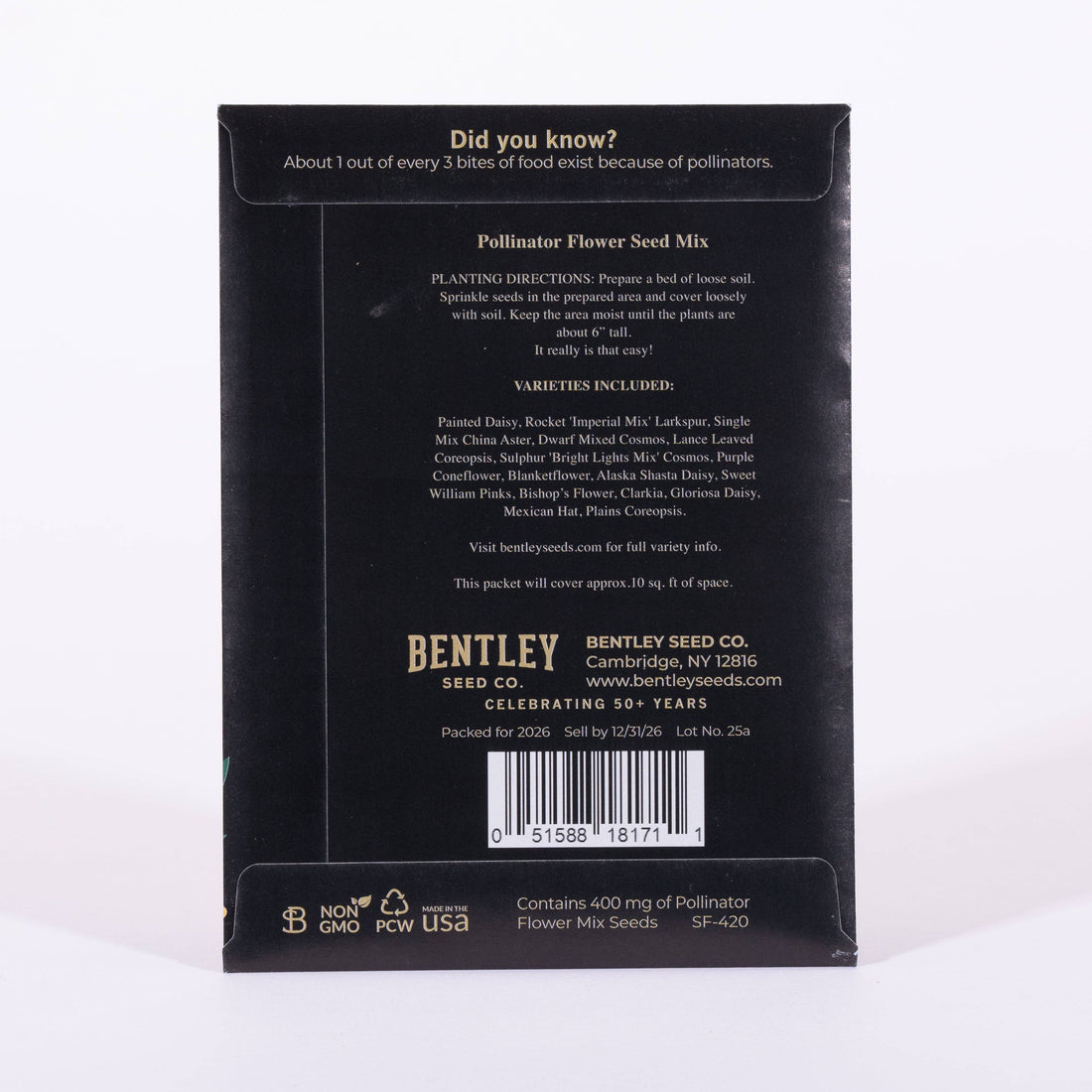 Joy Gift Tag Card - Wildflower Mix Seed