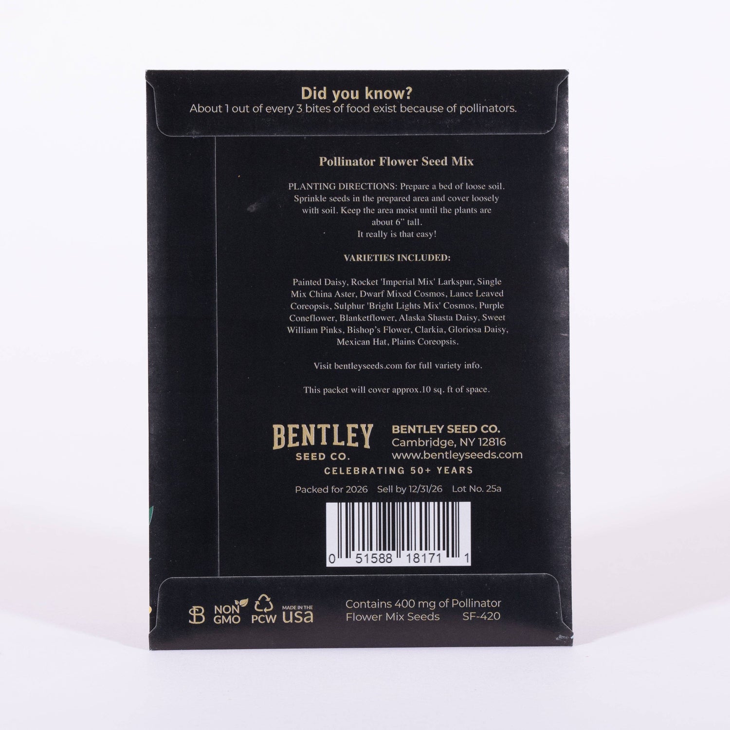 Joy Gift Tag Card - Wildflower Mix Seed