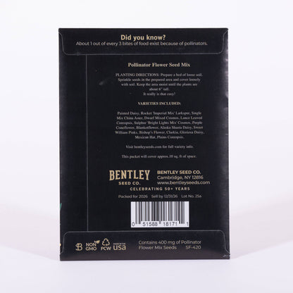 Joy Gift Tag Card - Wildflower Mix Seed