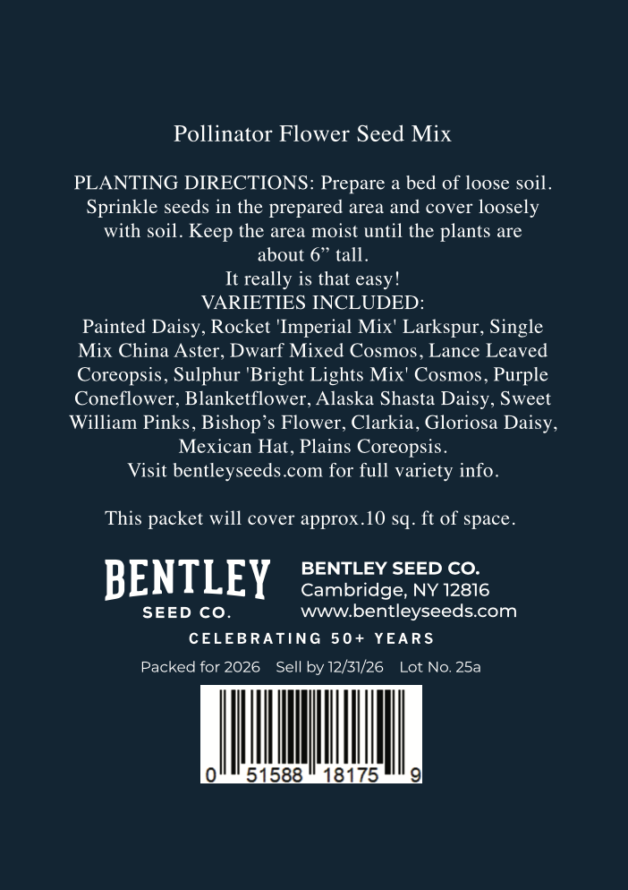 Happy Hanukkah Menorah - Wildflower Mix Seed