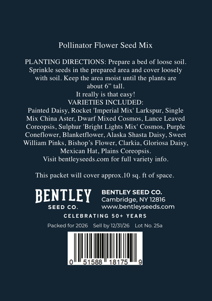 Happy Hanukkah Menorah - Wildflower Mix Seed