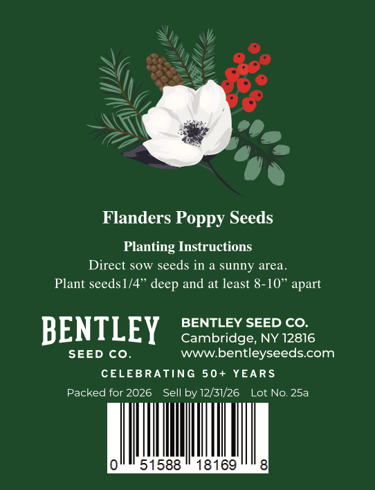 White Flowers and Pine - Corn Poppy Seed Packet