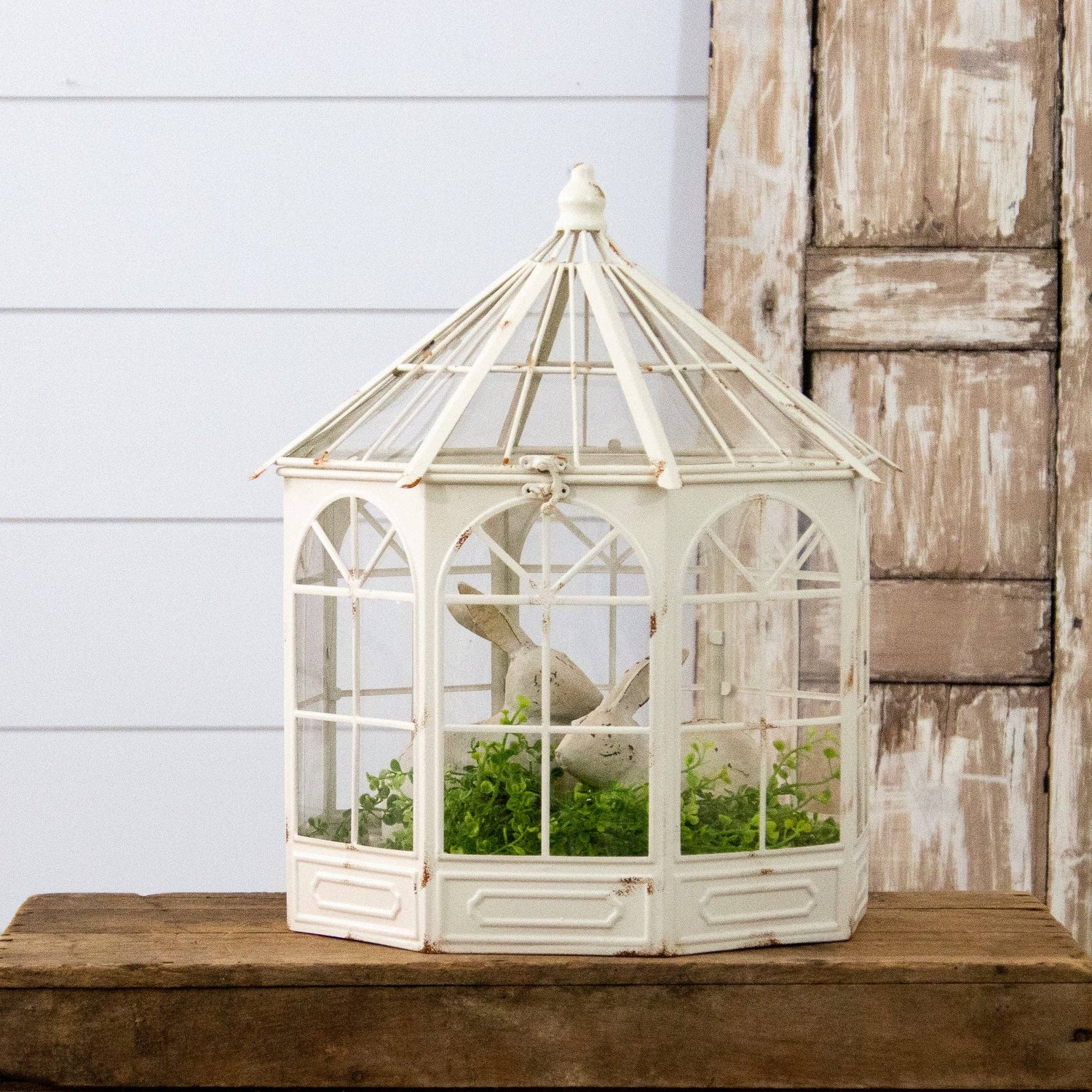 Metal Conservatory Terrarium with succulent