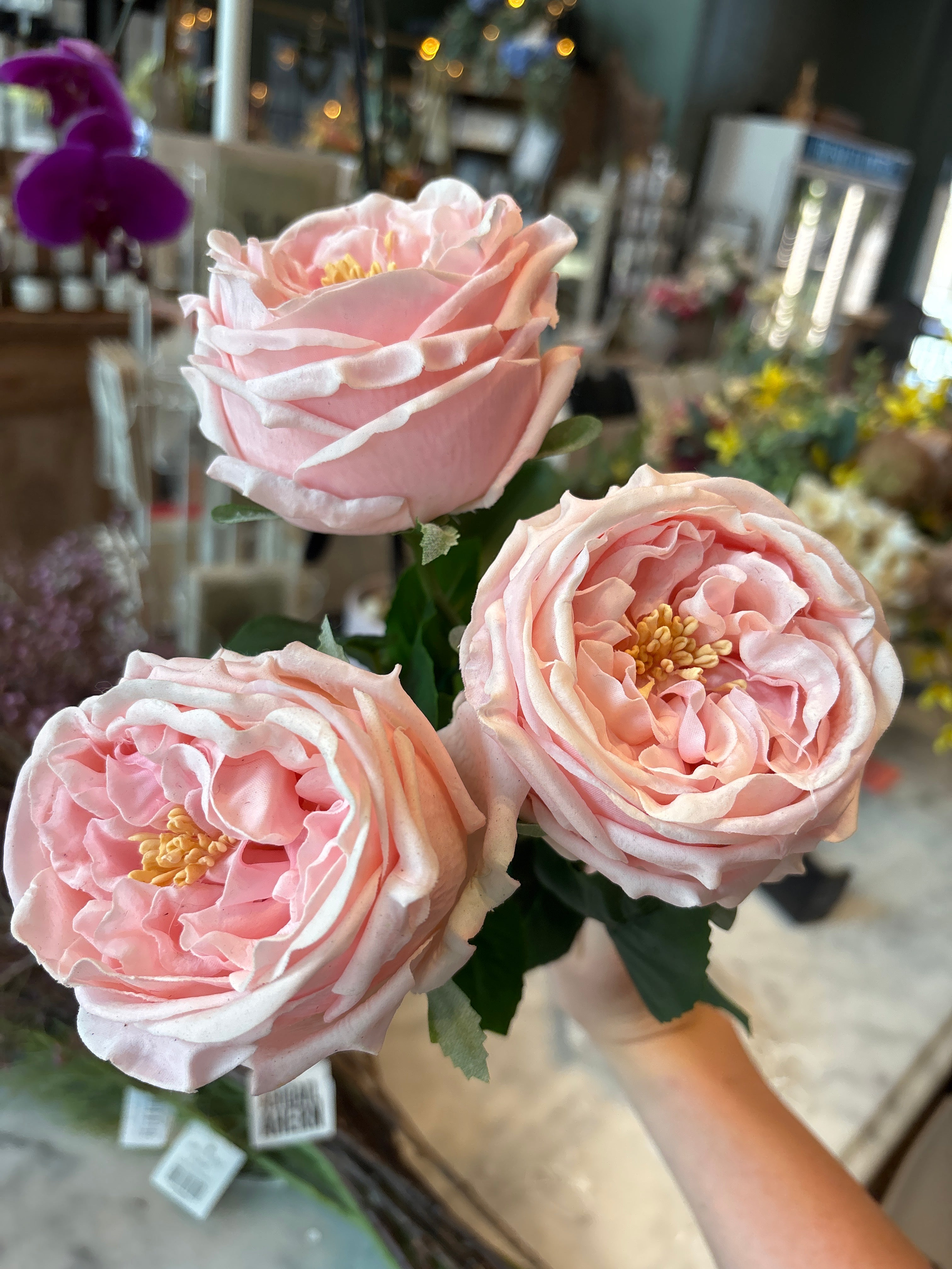 17” Premium Real Touch English Austin Cabbage Rose