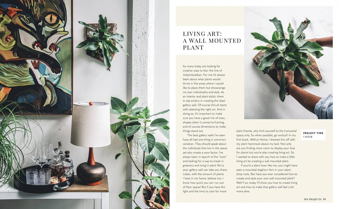 Wild Creations: Plant Care Tips &amp; Styling Ideas
