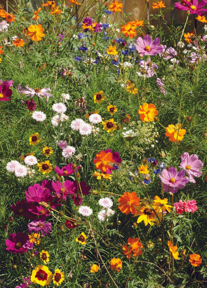 The Earth Laughs in Flowers - Wildflower Mix Seed Packet