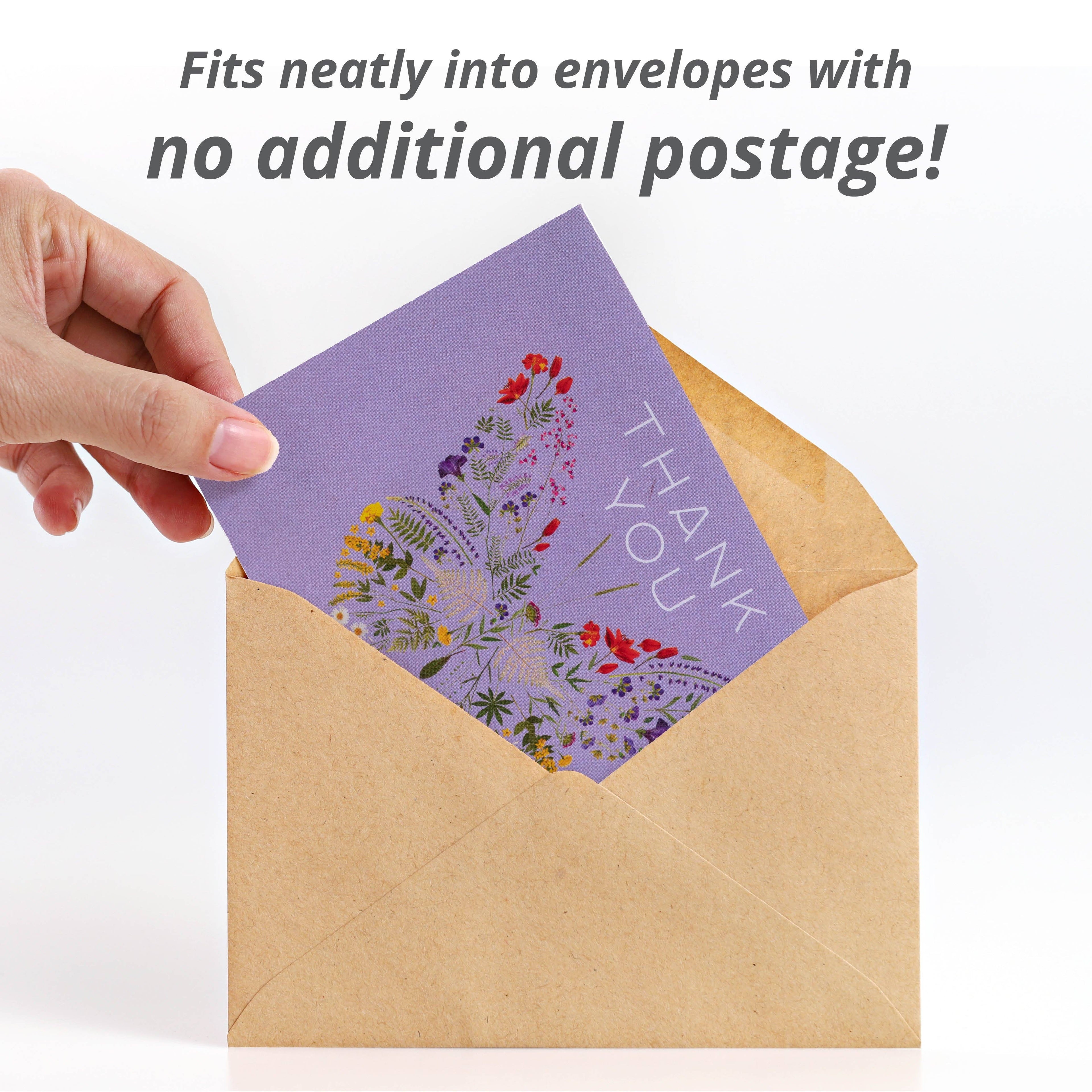 Thank You Butterfly Pollinator - Pollinator Flower Mix Seed Packet