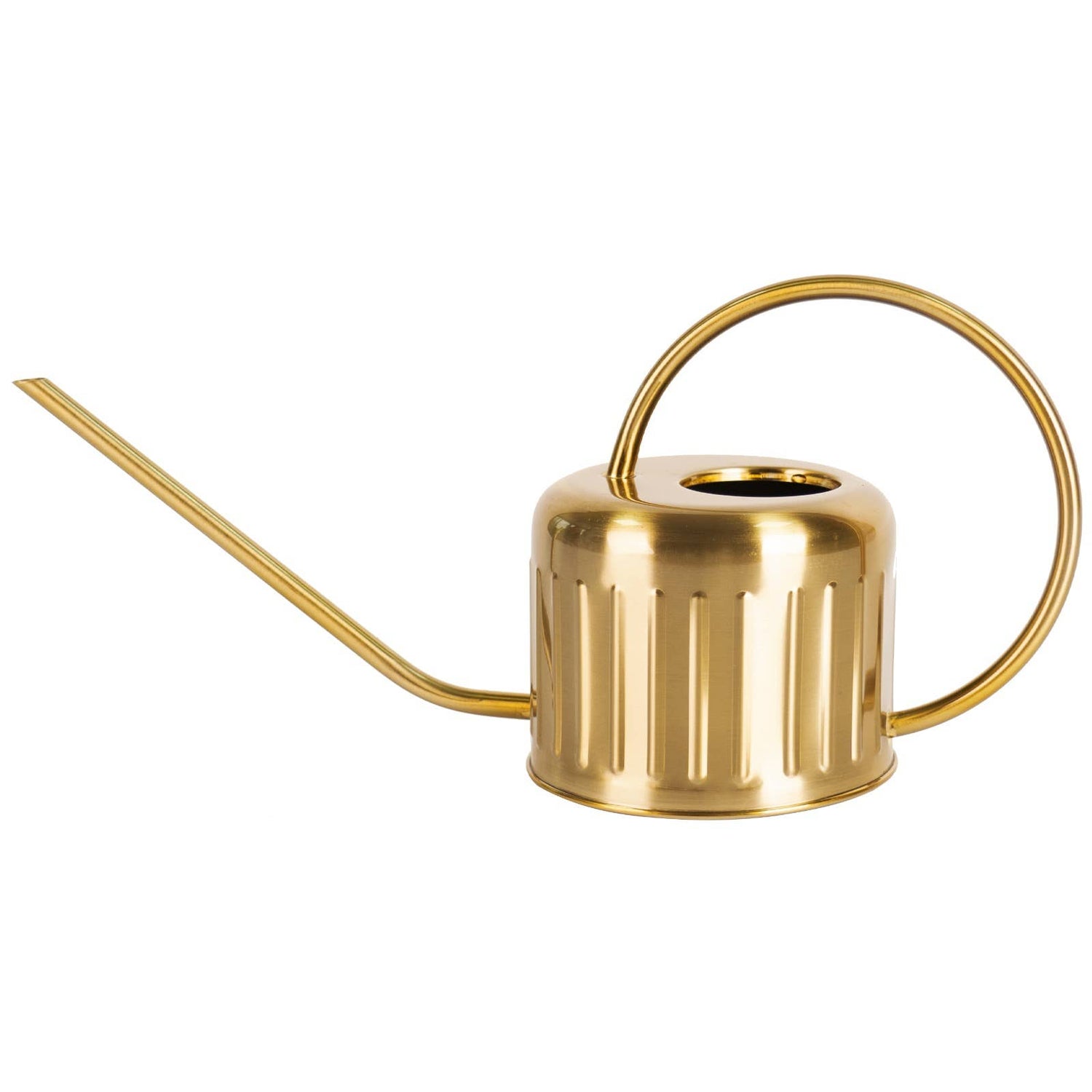 1L Gold Stainless Steel Watering Can – Long Spout Design