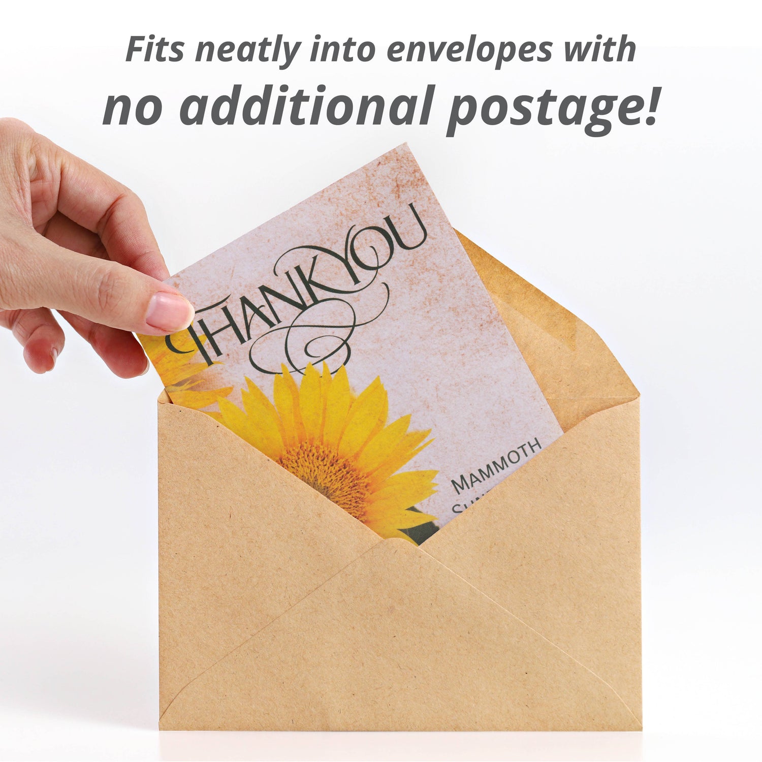 Thank You - Mammoth Sunflower