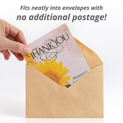 Thank You - Mammoth Sunflower