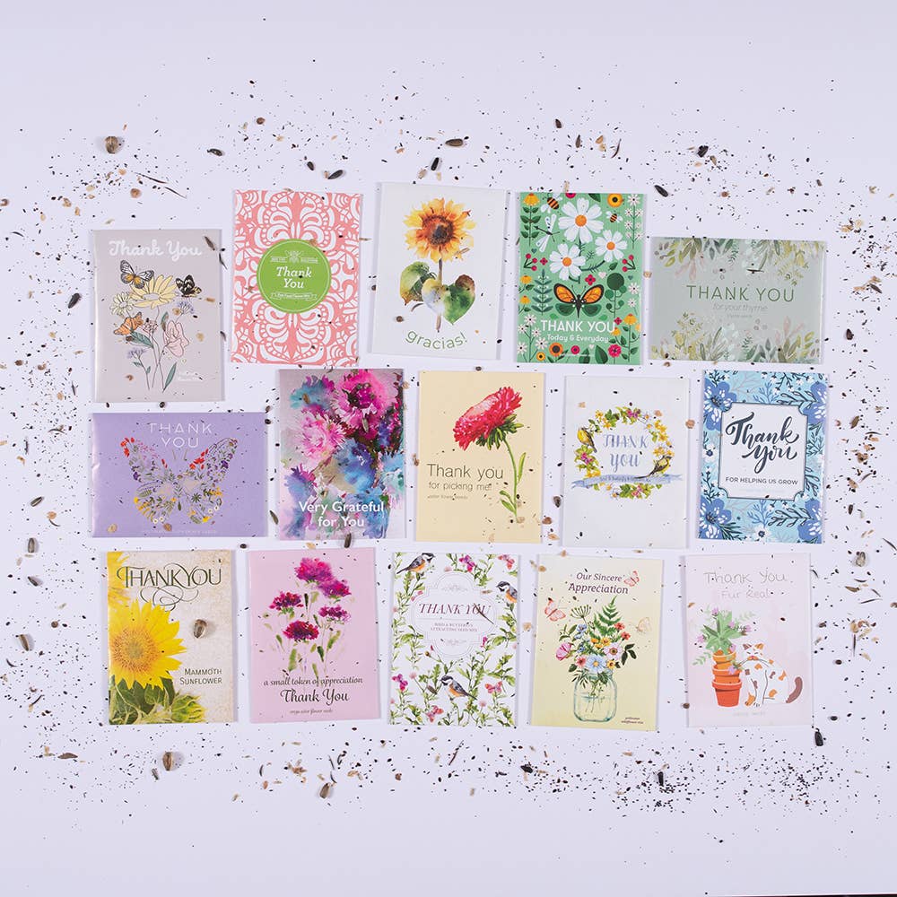 Thank You - Mammoth Sunflower