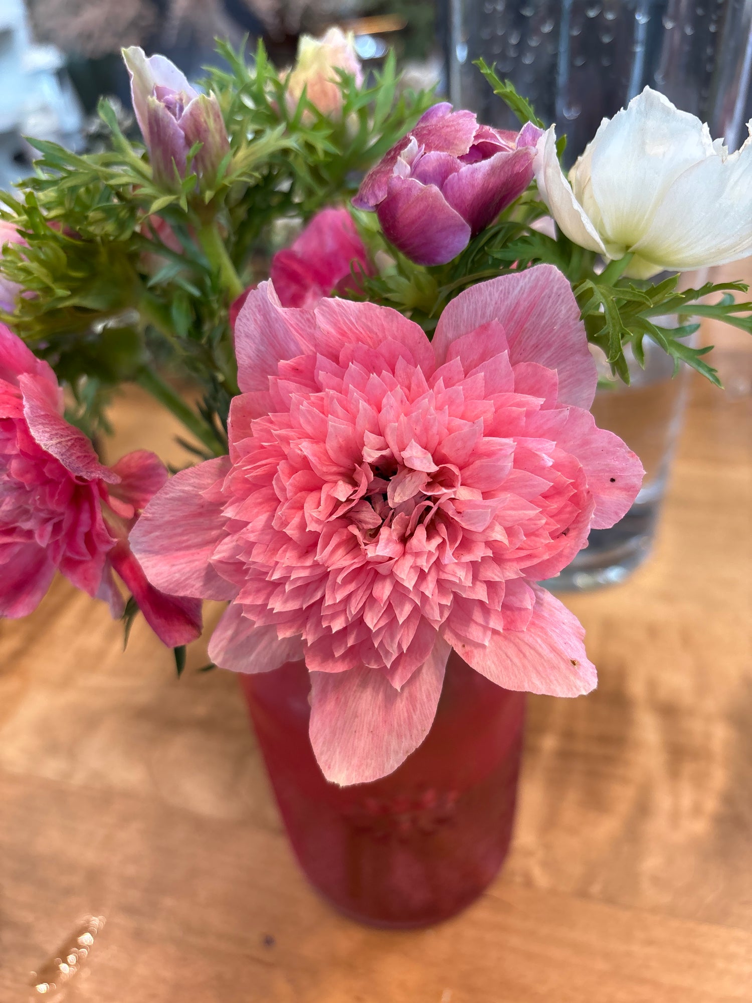Farm Fresh Anemone