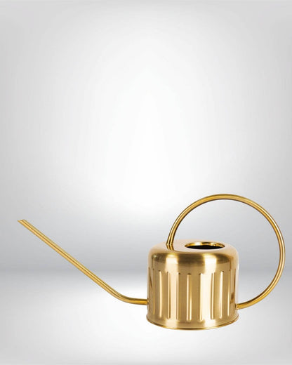 1L Gold Stainless Steel Watering Can – Long Spout Design