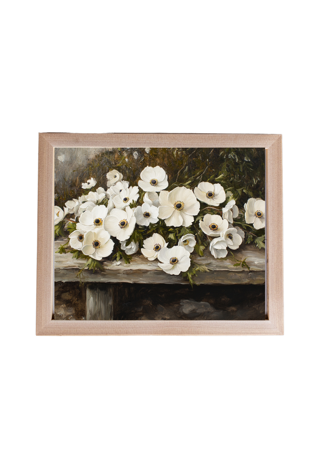 Vintage Anemone Framed Art | 028