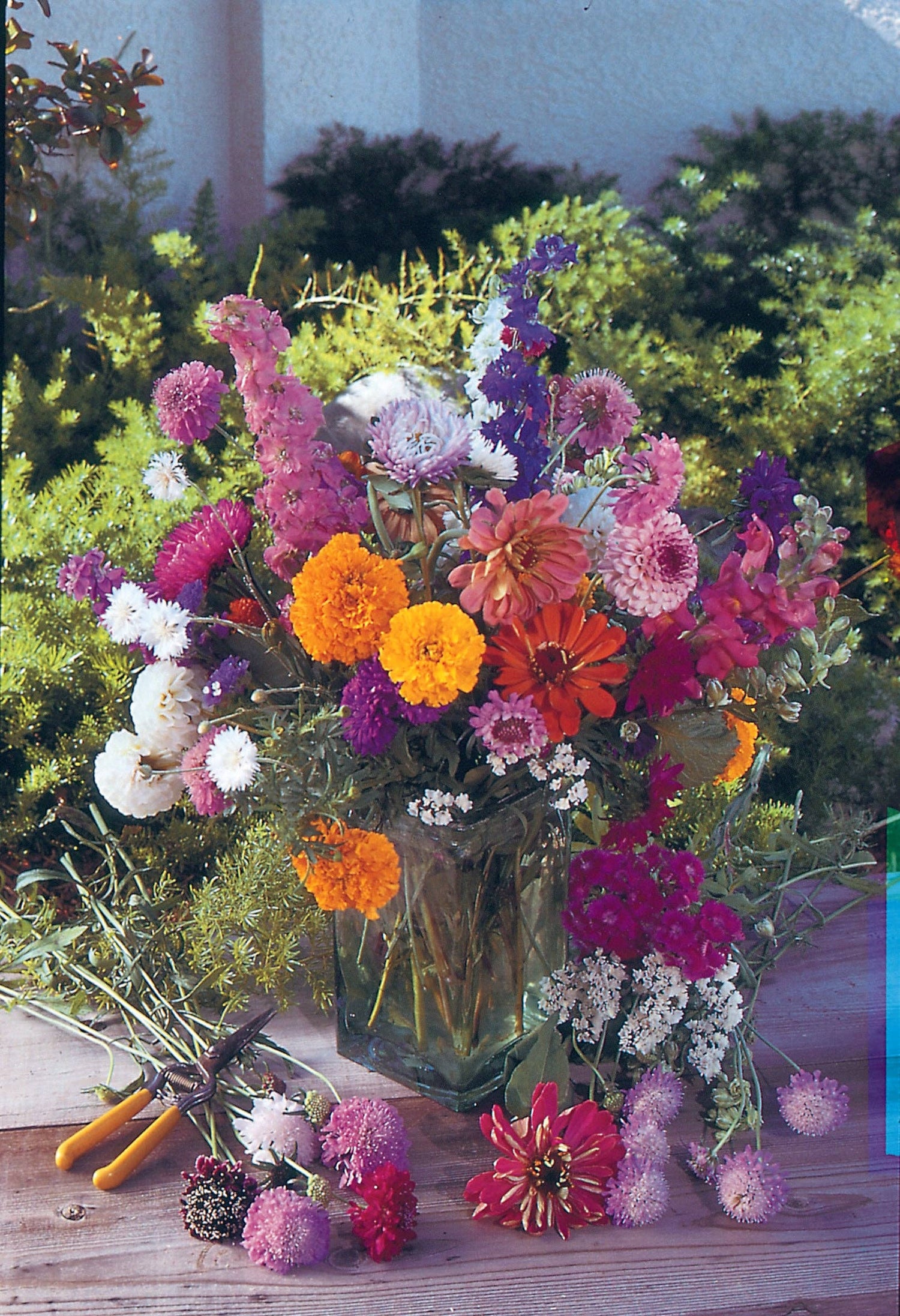 Help Butterflies Help Pollinators - Pollinator Wildflower Seed Packets