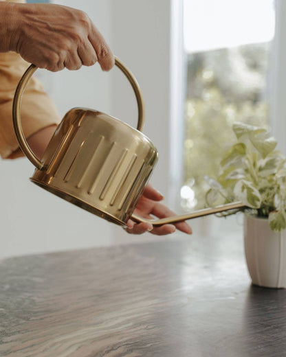 1L Gold Stainless Steel Watering Can – Long Spout Design