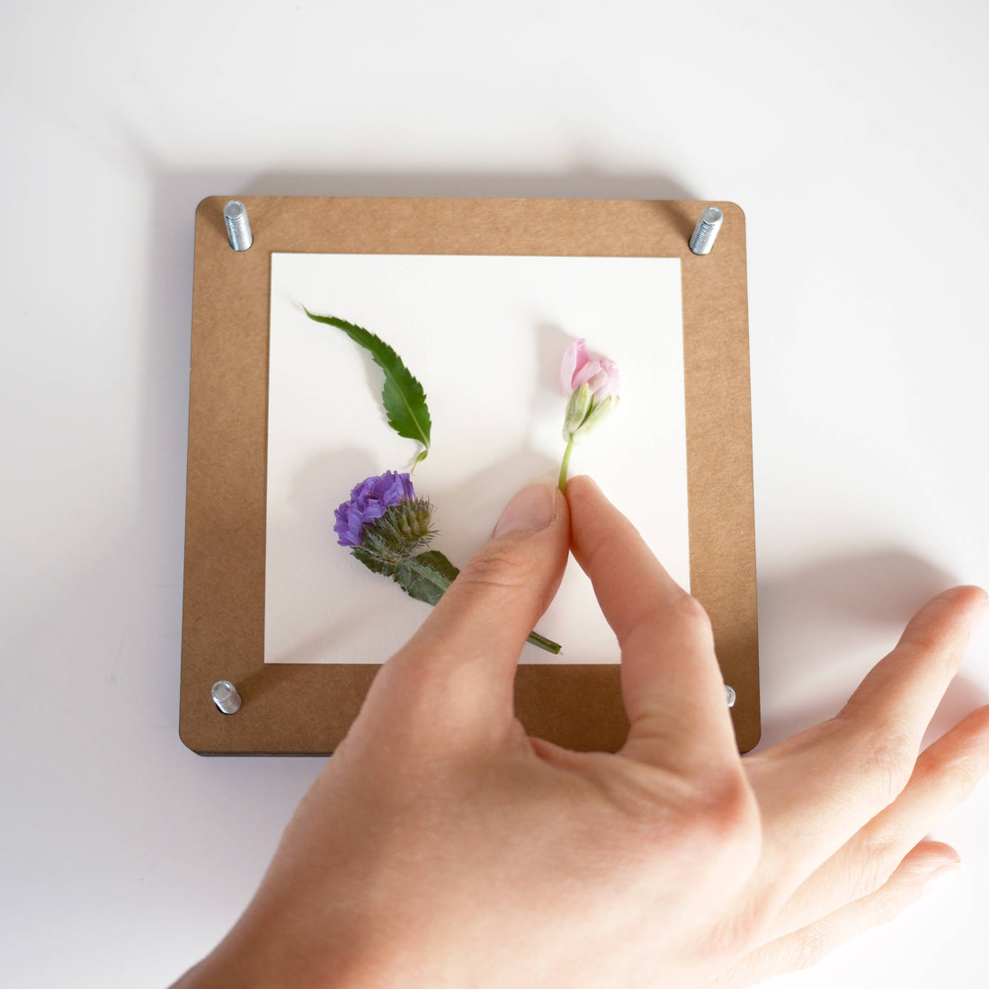 Pressed Flower Workshop 11/17