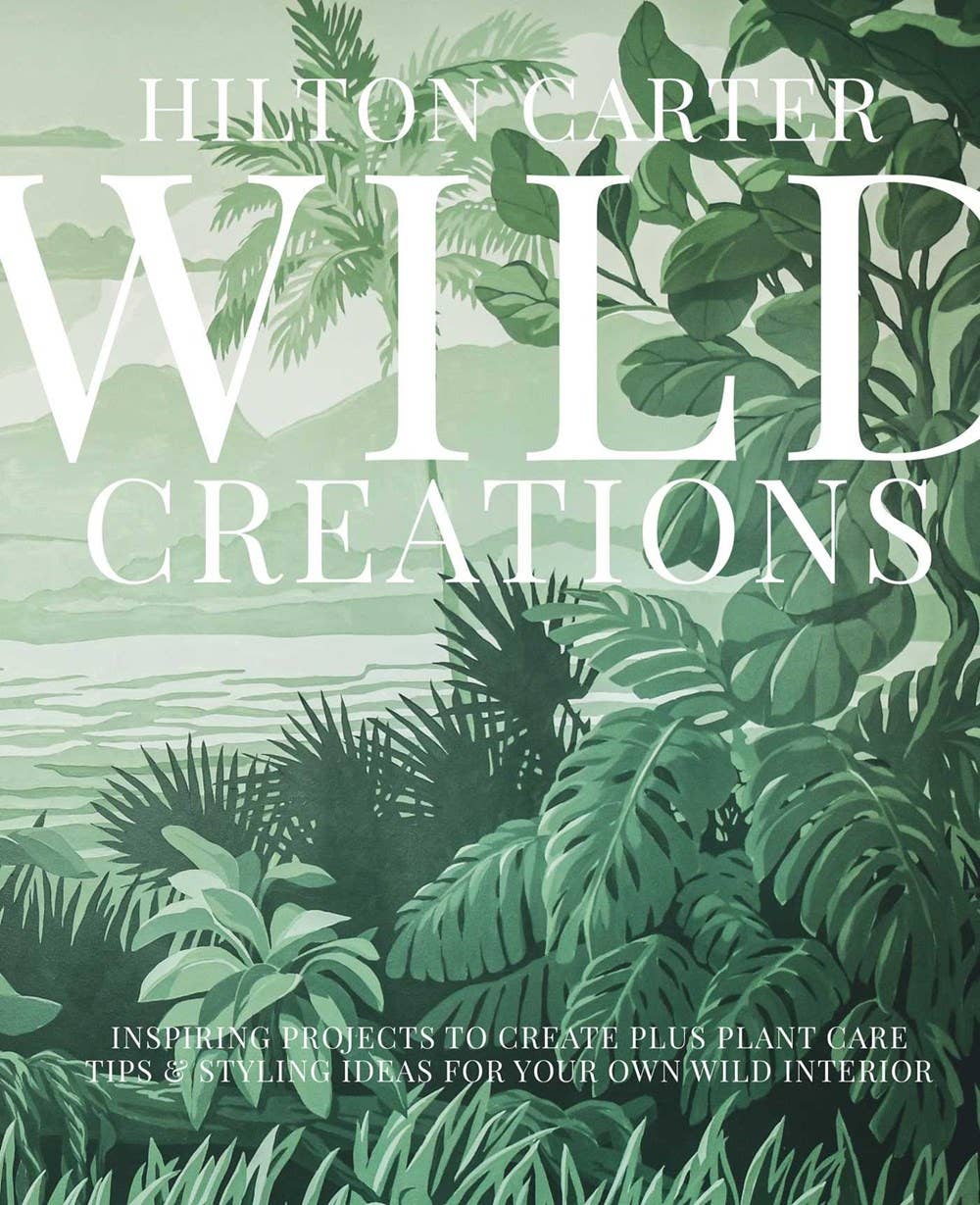 Wild Creations: Plant Care Tips &amp; Styling Ideas